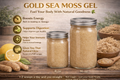 Gold Sea Moss