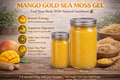 Mango Sea Moss Gel